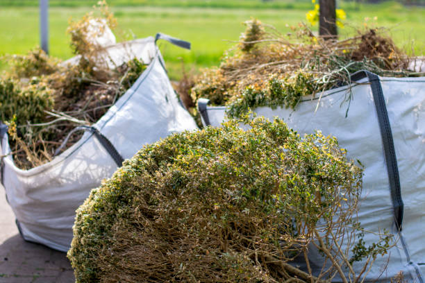 Best Yard Waste Removal  in Emory, VA